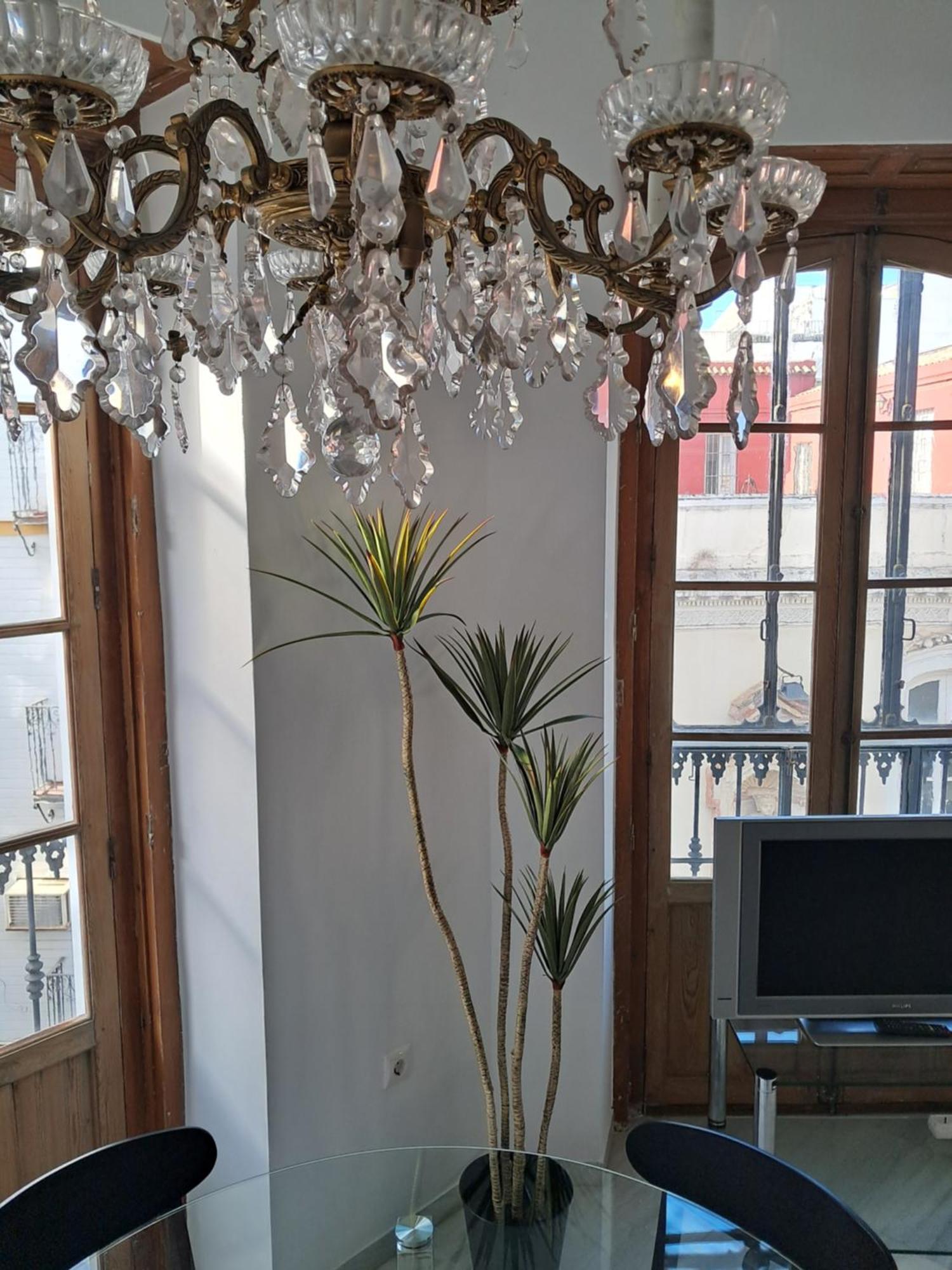 Apartamentos Almirante Hoyos Sevilla Dış mekan fotoğraf